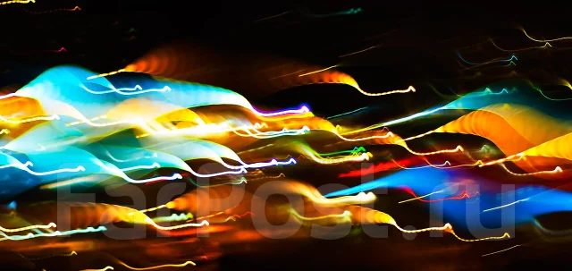 Nikon D2Hs ����