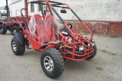 Yamaha Raptor 250. ��������, ���� ���\���, ��� �������. ��� ����� �� ������������� ����