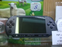 Sony PlayStation Portable 1000 ����