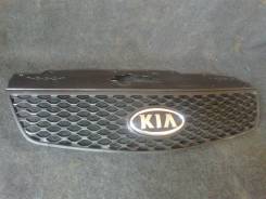 Решетка радиатора. Kia Rio