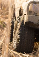Mickey Thompson Baja Belted HP. �����������, 2002 ���, �/�, ����� 70 % ����