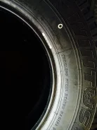 Lassa. �����������, 2014 ���, ����� ����