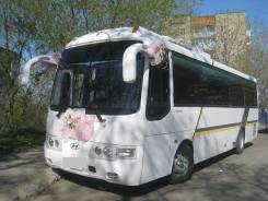 Автобусы.