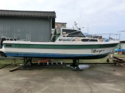 Yamaha F-24. 1995 ���, ��������� ������������, ������ ����