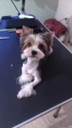 �������. ����