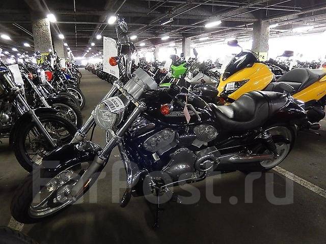 Футболка harley davidson санкт петербург