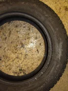 Goodyear Club. ������, 2008 ���, 50�%, 4 ��