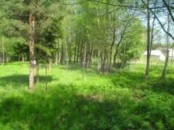 Земля в д. Растовцы 90 км. по Дмитровсокму шоссе. Лес, водоем рядом. 900 кв. м., собственность, электричество, вода, от частного лица (собственник)