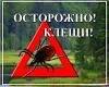 Уничтожение насекомых.