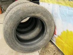Bridgestone Blizzak Nordic. ������, 40�%, 4 ��