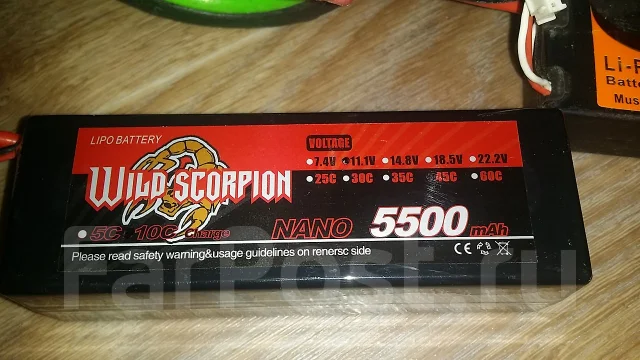 �����. ����