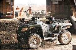Arctic Cat 700. ��������, ���� ���\���, ��� �������. ��� ����� �� ����������� ����