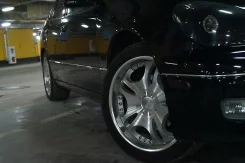 Lowenhart. x18" ����