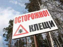 Уничтожение насекомых.