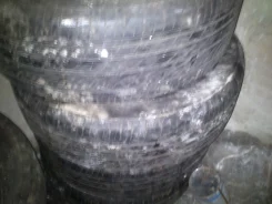 Bridgestone B330. ������, �/�, ����� 20 % ����
