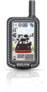 Bruin.