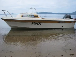 Yamaha Fish. 1994 ���, ����� 5,1��., ��������� ���������, 40��.�., ������ ����