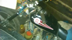 Alpina. ����������, ��� ���, � �������� ����
