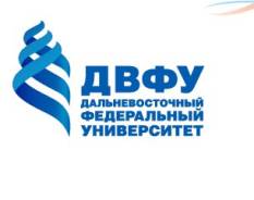 Стратегическое планирование с помощью "Project Expert"