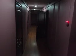 ��������� ���� + ������ ����