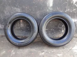 Bridgestone Playz PZ-XC. ������, 10�%, 2 ��