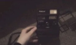 Polaroid