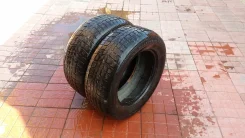 Dunlop SP Winter Sport. ������, 10�%, 2 ��