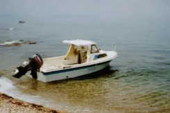 Yamaha Fish 17. 1990 ���, ��������� ���������, ������ ����