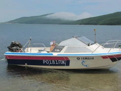 Yamaha FR-17. 1991 ���, ��������� ���������, ������ ����