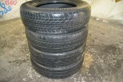 Dunlop SP 70e. ������, 2010 ���, 70�%, 4 ��