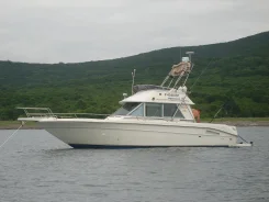 Searay. 1994 ���, ��������� ������������, ������. ��� ����� �� ���������� ����