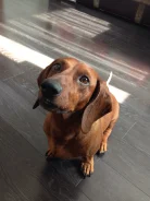 �����. ����