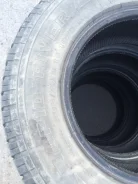 Amtel Rapid river. ������, �/�, ����� 40�%
