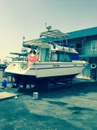 Yamaha SC-32. 1993 ���, ��������� ������������, ������ ����