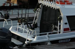 Grizzly Pro 660 Cabin. ��� ����� �� ���������� ����