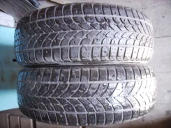 Bridgestone Winter Radial WT-17. ������, ����������, �/�, ����� 30 % ����