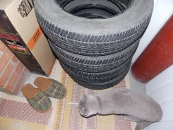 GT Radial Champiro 728. ������, 2014 ���, 20�%, 4 ��