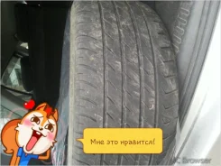 Tunga Master. ������, 30�%, 4 ��