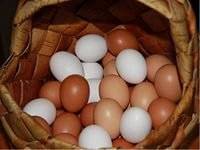 Яйцо куриное.