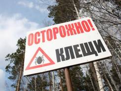 Уничтожение насекомых.