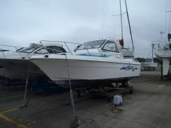 Yamaha SRV-23. 2002 ���, ��������� ���������, ������ ����