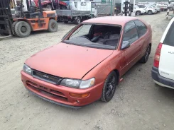 Toyota Corolla FX. AE101, 4AGE ����