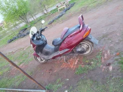 Suzuki Skywave. 250����. ��., ����������, ��� ���, � �������� ����
