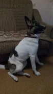 �����. ����
