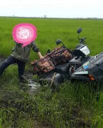 Bashan BS. ��������, ���� ���\���, � �������� ����