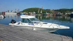 Yamaha FC-24. ��������� ���������, ������ ����