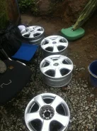 Grass CF. x35" ����