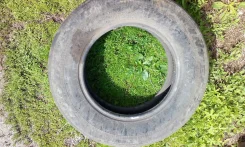 Goodyear Integrity. ������, 50�%, 3 ��