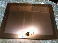 Apple iPad 3 Wi-Fi+Cellular 64Gb ����