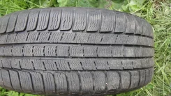 Michelin Pilot Alpin PA2. ������, 5�%, 2 ��